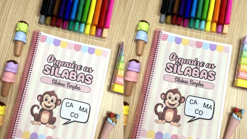 05 organize as silabas silabas simples capa