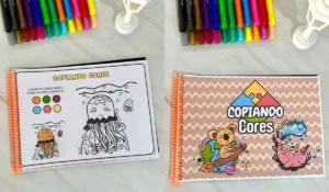 11-copiando-cores-capa