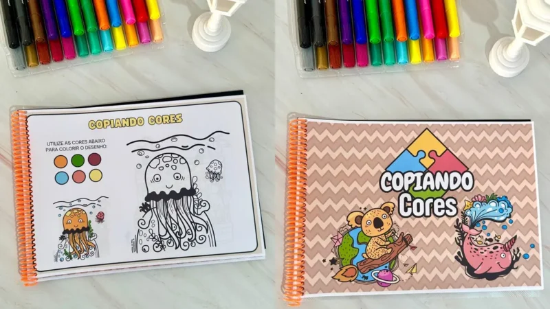 11 copiando cores capa