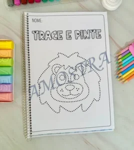 Amostra do material 11- Trace e Pinte