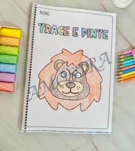 Amostra do material 11- Trace e Pinte