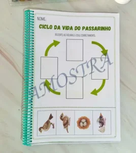 Amostra do material 13- Sequencia Temporal