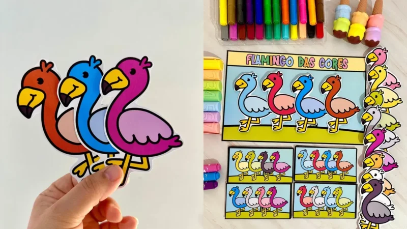 19 flamingo das cores capa