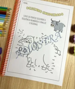Amostra do material 28- Desenho Enumerado