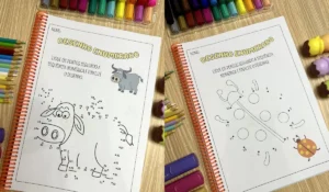 28-desenho-enumerado-capa