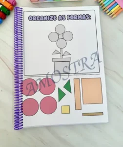 Amostra do material 5- Organize as formas