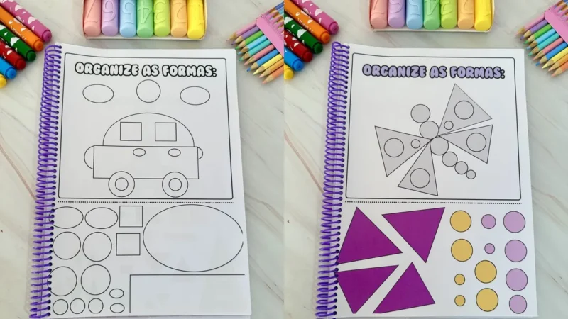5 organize as formas capa