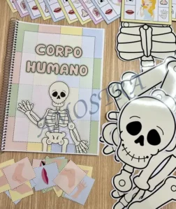 Amostra do material A26- Corpo Humano