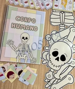 Amostra do material A26- Corpo Humano