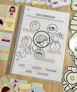 Amostra do material A26- Corpo Humano