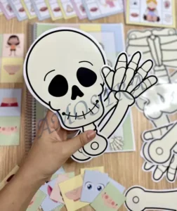 Amostra do material A26- Corpo Humano