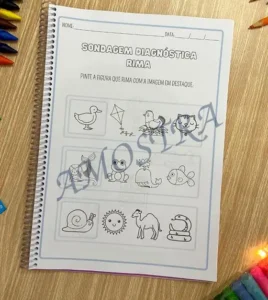 Amostra do material Apostila Sondagem Diagnóstica