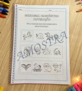 Amostra do material Apostila Sondagem Diagnóstica