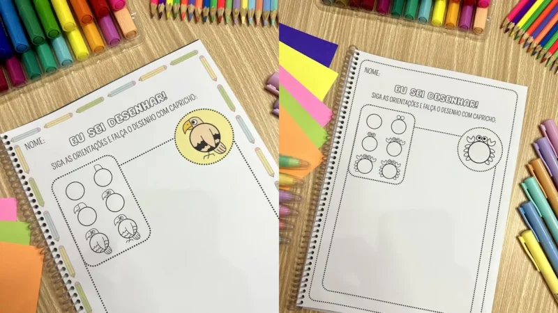 eu sei desenhar capa