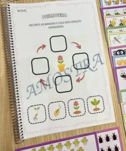 Amostra do material S02- Primavera