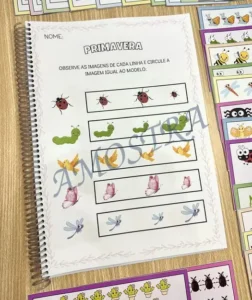 Amostra do material S02- Primavera